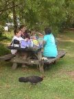 Picnic.JPG (82 KB)
